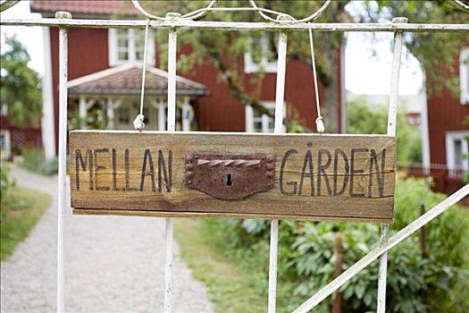 花园,家,八月,父亲,著名,作家,瑞典,斯堪的纳维亚,欧洲