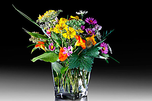 彩色,花束,野花,玻璃花瓶