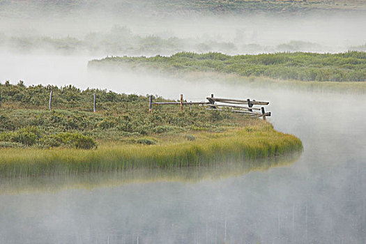 美国,怀俄明,绿河,晨雾,草,陆地,弯曲,河