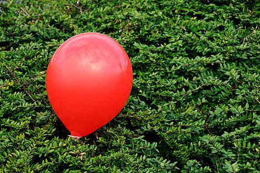 红色,气球,绿色,树篱,德国,欧洲