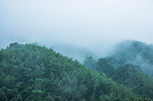 雨雾山景