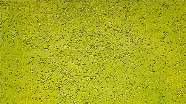绿色,墙壁,横图,布拉诺岛