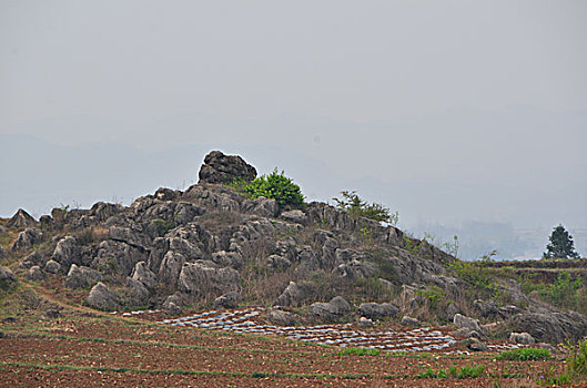 小尖山石林