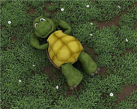 龟,躺着,草,花