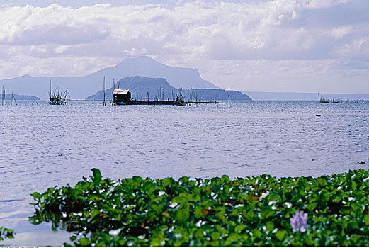 湖,菲律宾