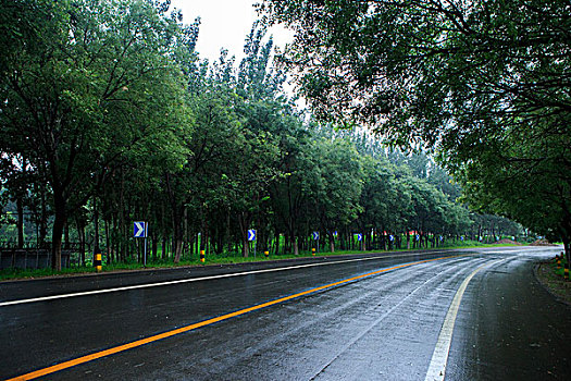 北京永定河左堤路,雨后路面