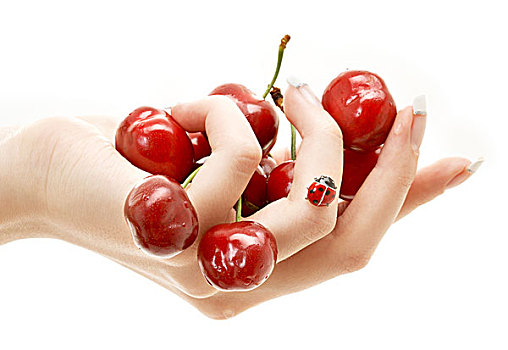 手,满,红色,樱桃,上方,白色