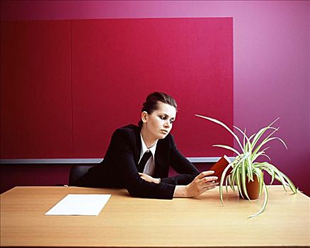 职业女性,放置,植物,书桌