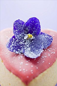 小,心形,蛋糕,粉色,糖衣,紫罗兰