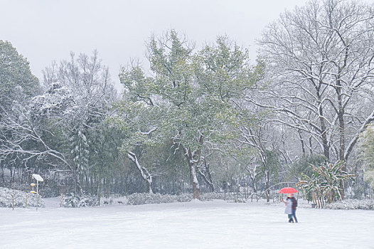 武汉东湖园林雪景