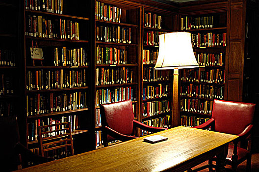 架子,满,书本,舒适,图书馆,角,两个,空椅子,灯,夜晚,多伦多大学,加拿大,虚构,局部