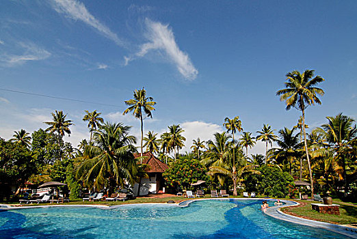 酒店,椰树,泻湖,游泳池,区域,湖,喀拉拉,印度,印度南部,亚洲