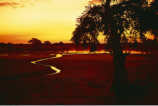 日落,南卢安瓜国家公园,赞比亚