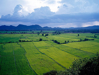 泰国农田风光图片