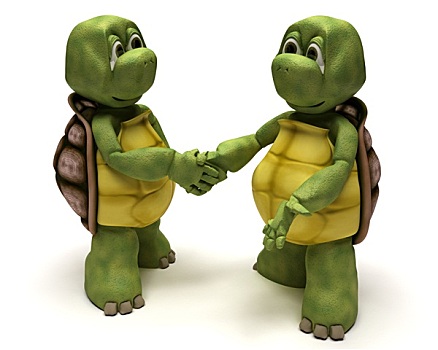 龟,握手