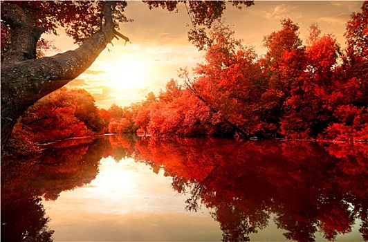 红色,秋天,河