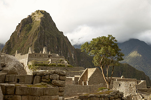 遗址,迷失,印加,城市,马丘比丘,靠近,库斯科,秘鲁