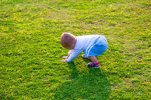 阳光下草地上嬉戏的孩童