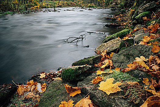 特写,彩色,石头,河边,秋天,长时间曝光,图像