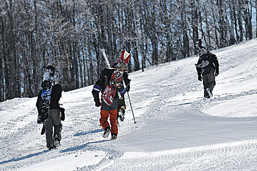 滑雪板,冬季运动,男人,极限,雪
