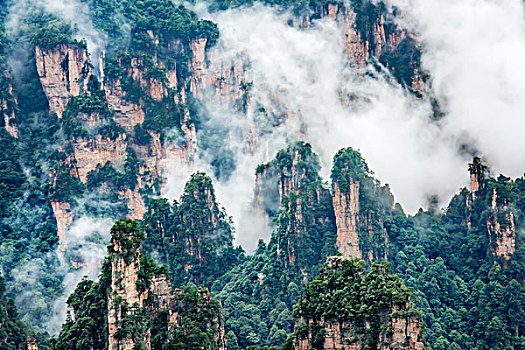 湖南,张家界,峰林,云雾