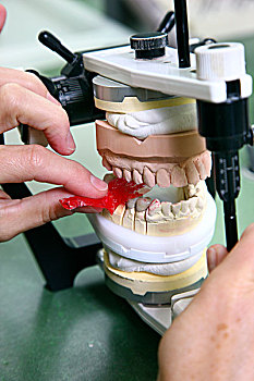牙齿,实验室,制造,假肢,技工,控制,工作,颚部,移动,模拟器,红色,纸