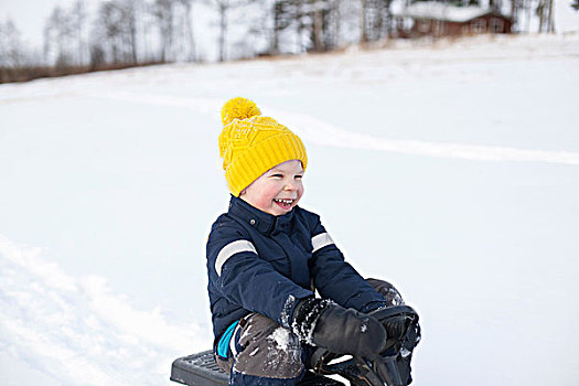 男孩,坐,雪橇,雪中,遮盖,风景