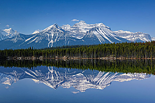 山脉,反射,赫伯特湖,班芙,艾伯塔省,加拿大