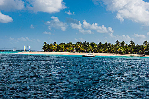 双体船,漂亮,棕榈树,白沙滩,棕榈岛,格林纳丁斯群岛,加勒比