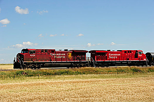 两个,列车,加拿大,太平洋,铁路,草原,艾伯塔省