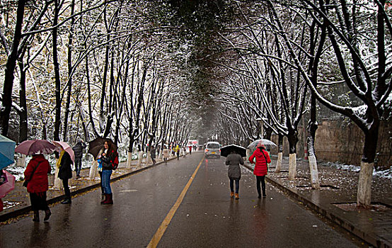 昆明校园雪景