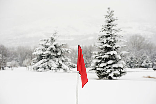 红色,旗帜,积雪,高尔夫球场