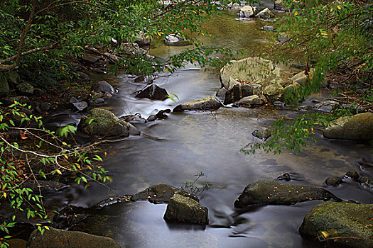 五指山风光