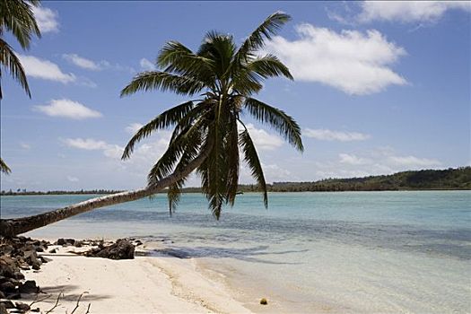海滩,岛屿,马达加斯加,非洲