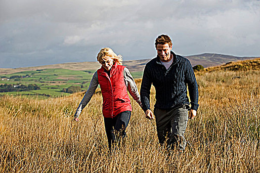 农场,雪墩山,北威尔士,伴侣,享受,山