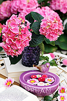 粉色,八仙花属,紫色,玻璃花瓶