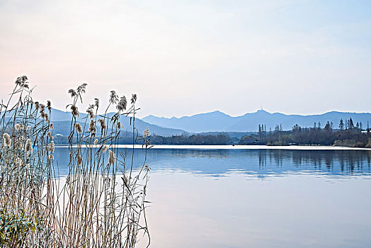 杭州西湖,茅家埠