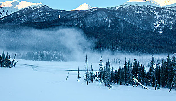 新疆喀纳斯冬季雪景