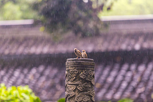 文殊院