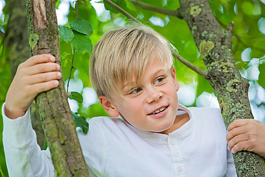 男孩,9岁,攀登,树