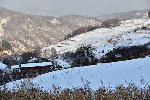 冬季吉林雪村-松岭美景如画