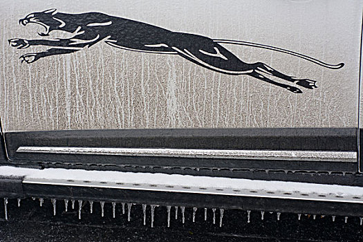 冰挂猎豹图案