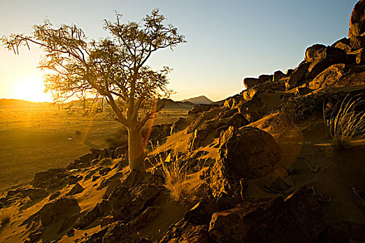 世界遗产,纳米比亚,纳米比诺克陆夫国家公园,漂亮,风景,住宿