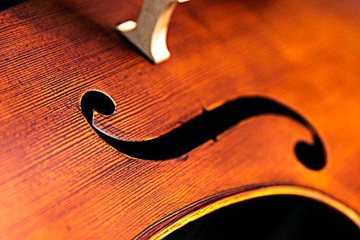 西洋乐器大提琴的音孔