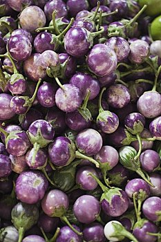 紫色,泰国,茄子