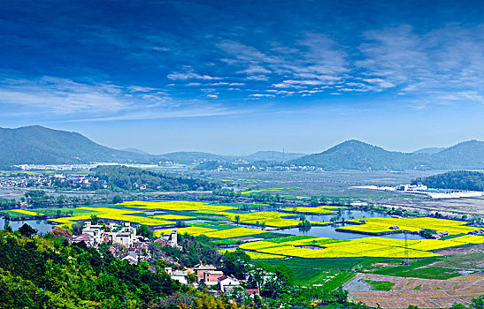 安徽省芜湖市响水涧油菜花田园乡村自然景观