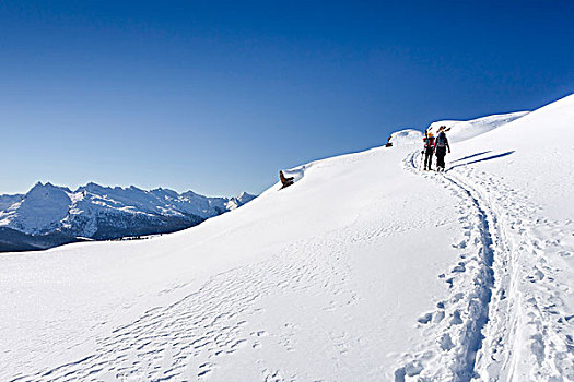 雪鞋,远足者,攀登,顶峰,高处,白云岩,特兰迪诺,意大利,欧洲