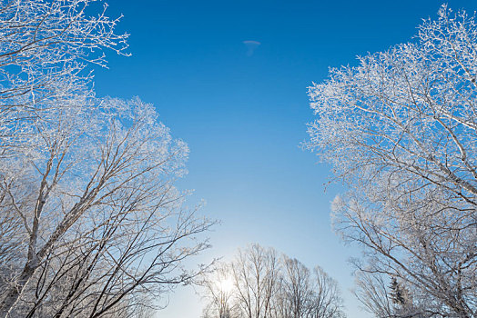 冬季长白山的雪地和雾凇