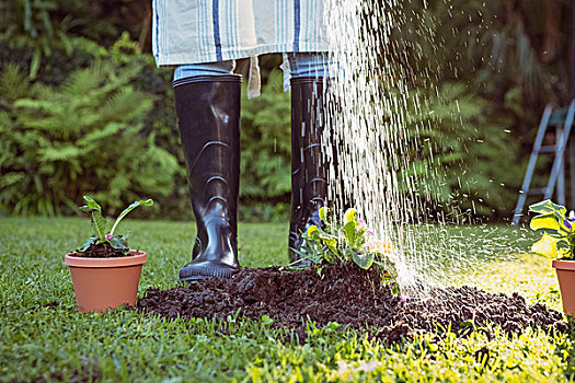 女人,浇水,植物,花园