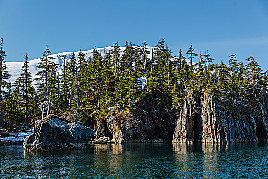 悬崖,遮盖,常青树,雪,威廉王子湾,阿拉斯加,美国